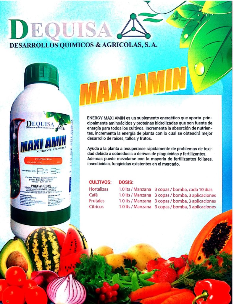 Maxi Amin