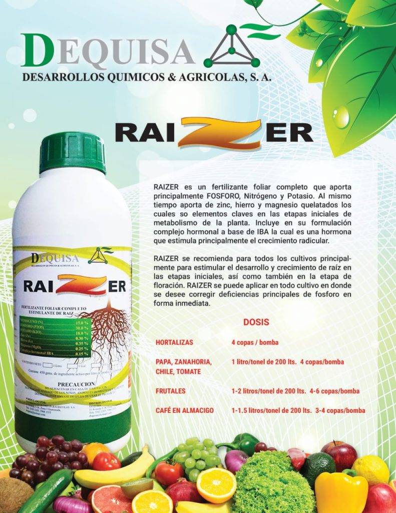 RAIZER